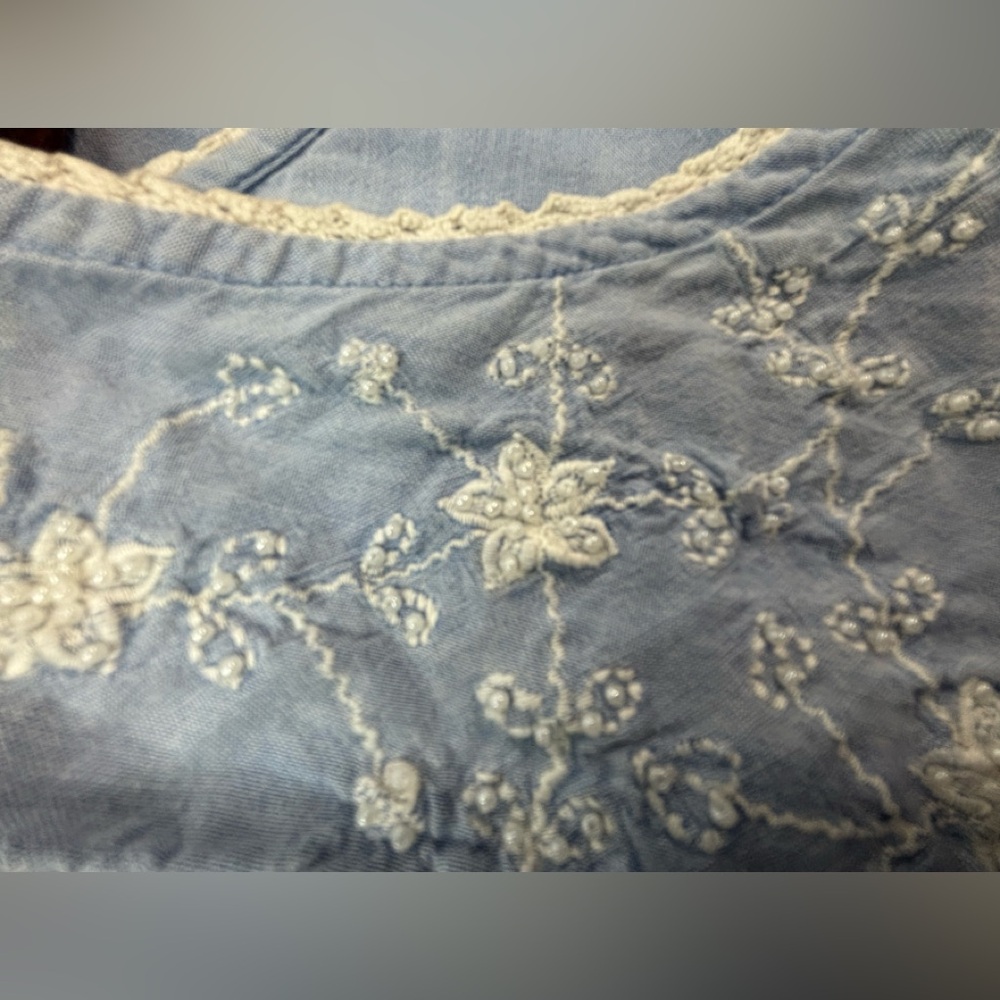 Amanda Stewart Pioneer Woman 1X Beaded Embroidery Crocheted Trim Dress Gown - Picture 9 of 12
